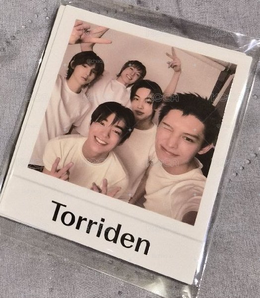 【 ✨CORTIS X Torriden✨ 】