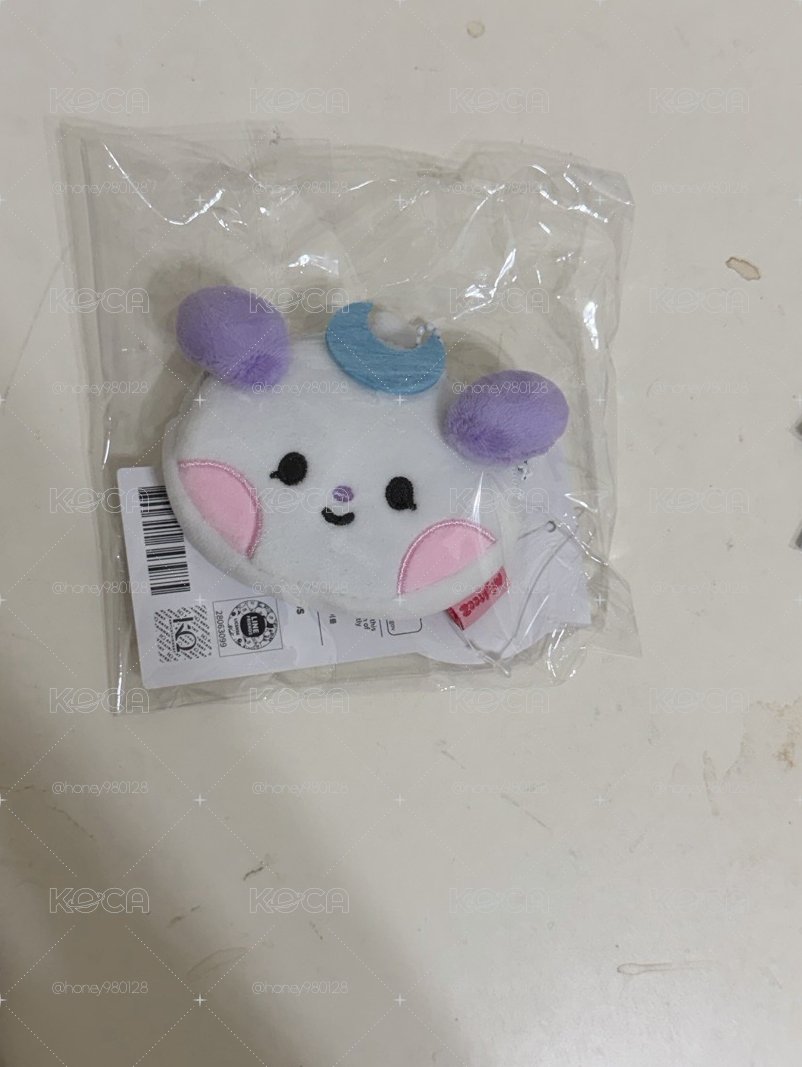 崔鍾浩娃類