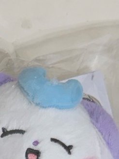 崔鍾浩娃類