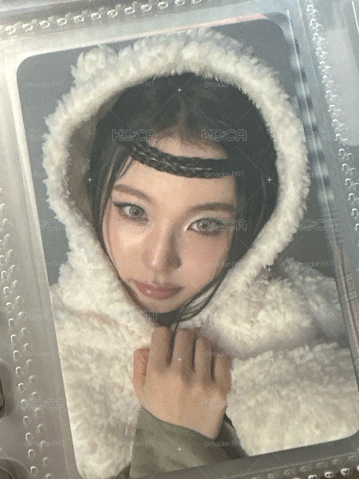 白熊毛毯圭 🐻‍❄️🐱