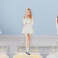 Liz  貼紙/資料夾/吊飾/立牌/卡套