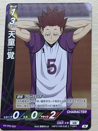 遊戲卡 天童