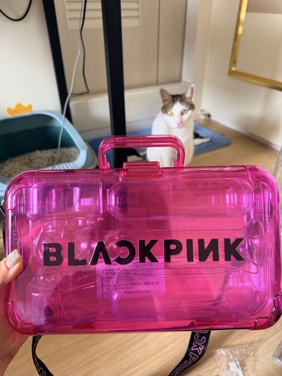 BLACKPINK 手燈箱