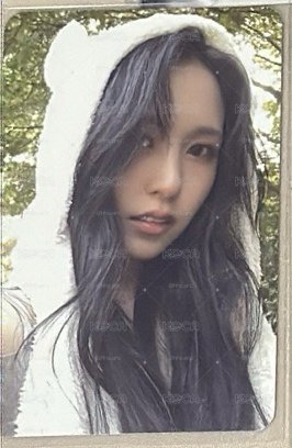 熊帽南