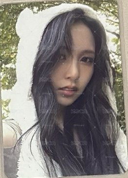 熊帽南