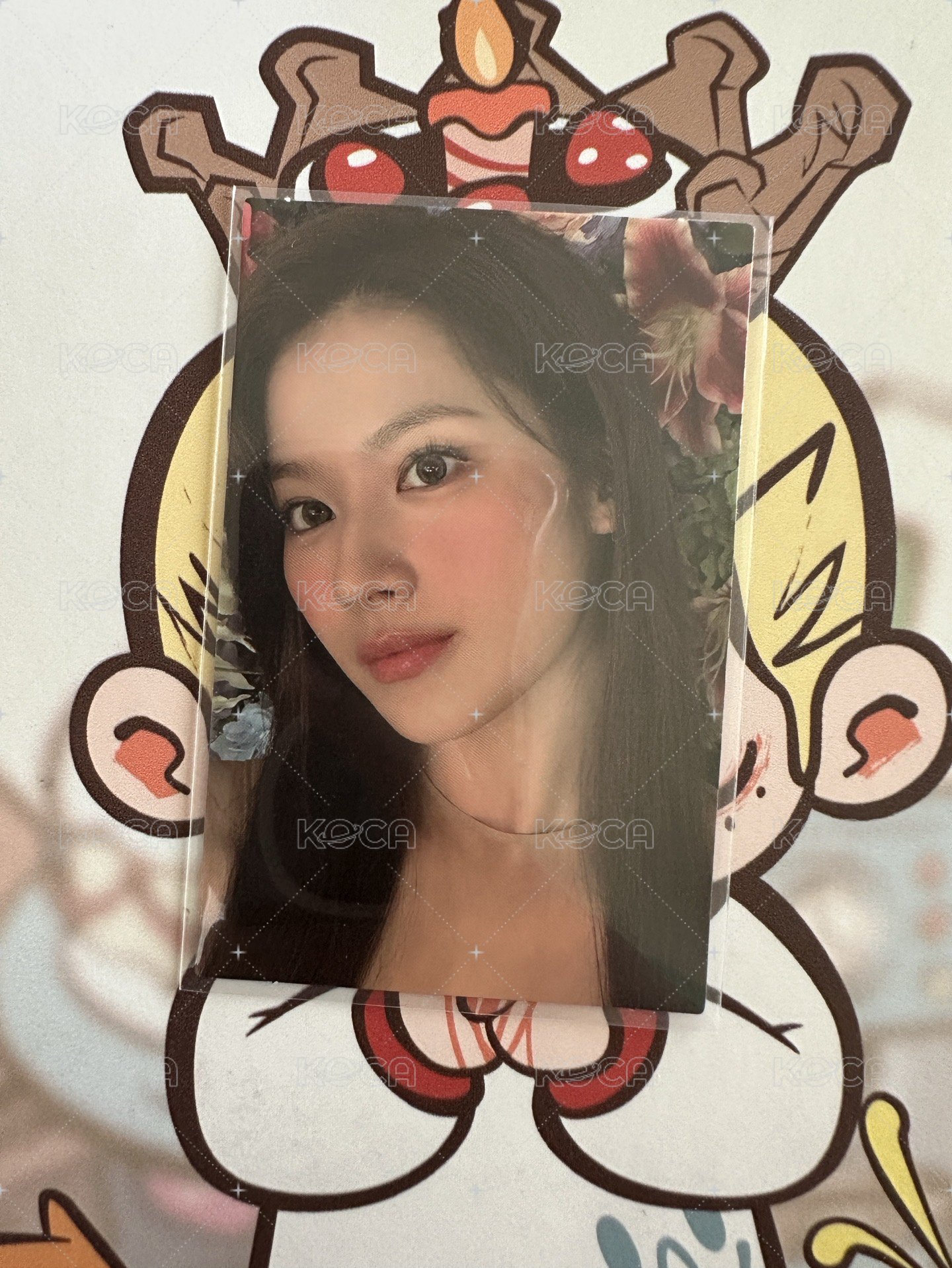 正規二專卡