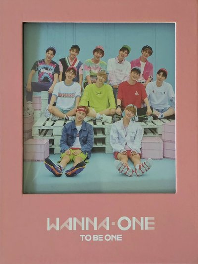 wanna one 迷一粉版空專