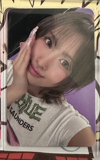 正規四