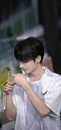 蛋塔🐣