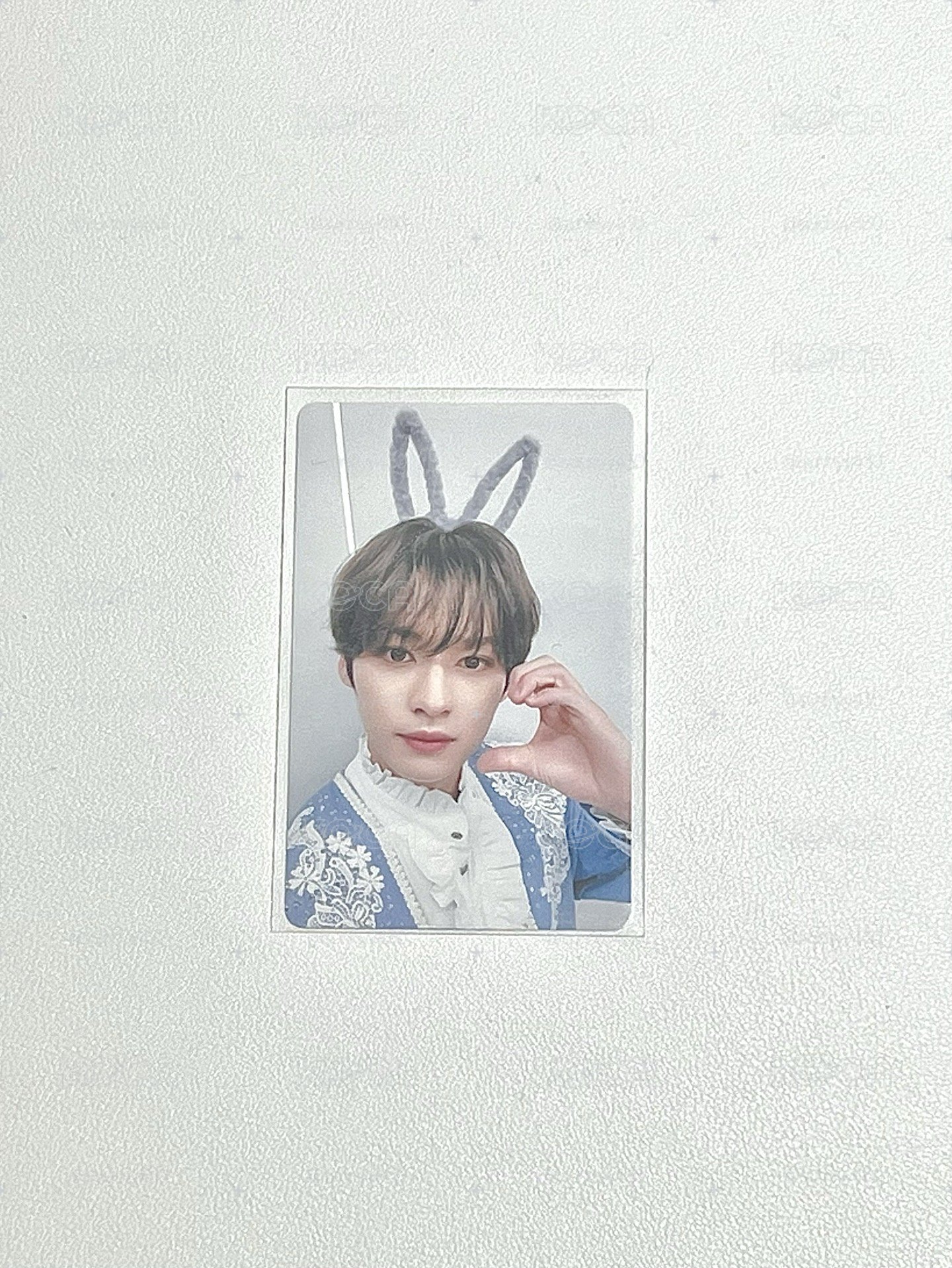 兔耳旻🐰