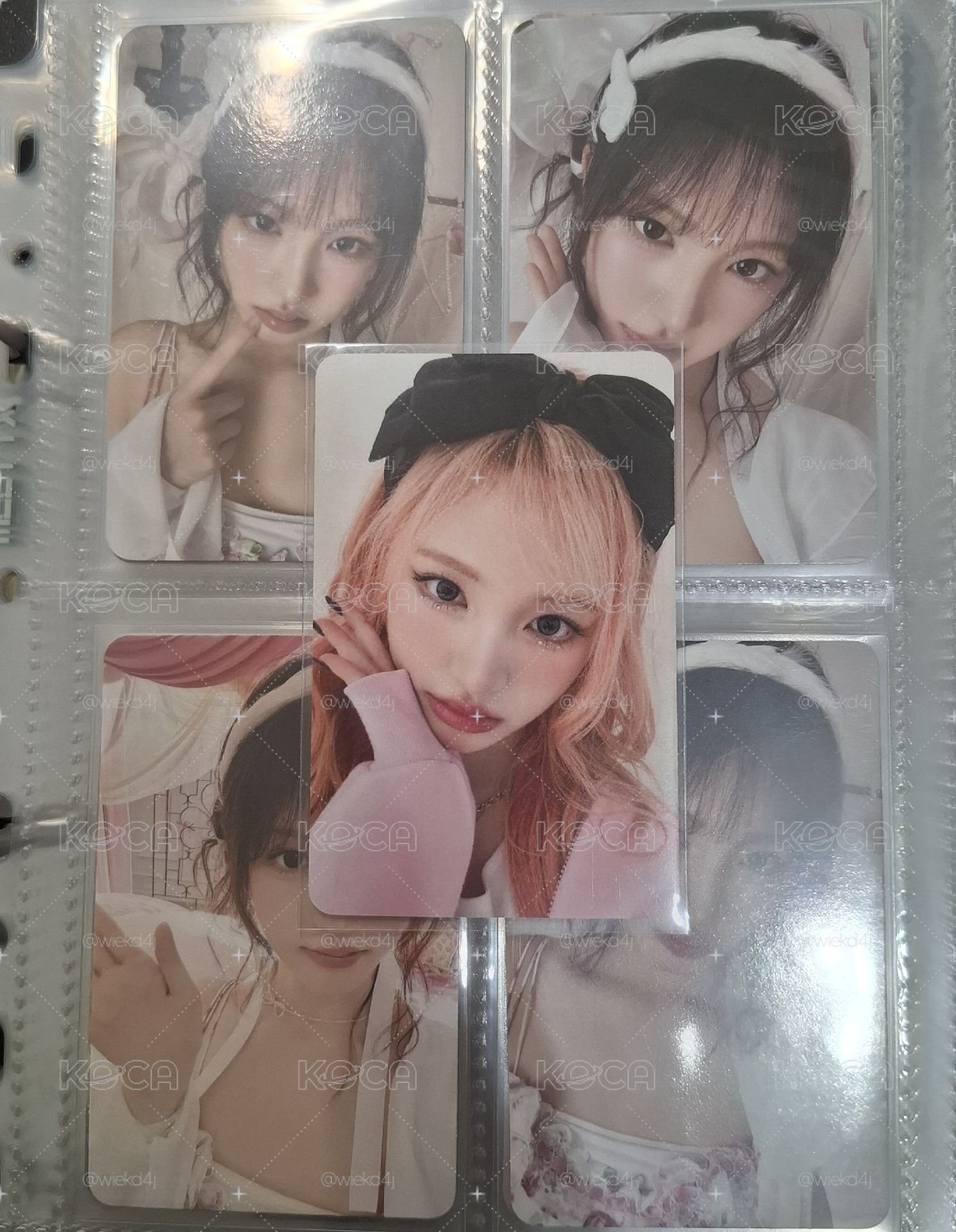 星河栗中背 現貨