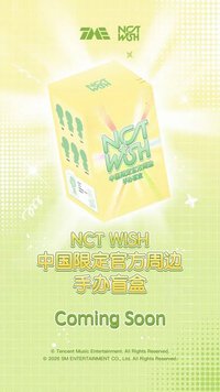 中國限定手辦盲盒
