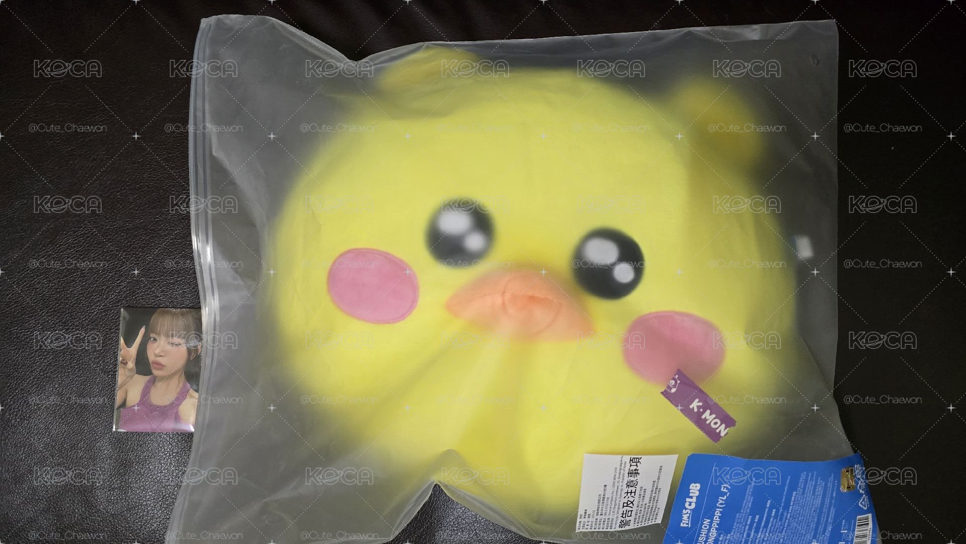 現貨 抱枕採+滿額採