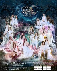 Blush Blossom Fan Fest 2026 : Midnight Bloom