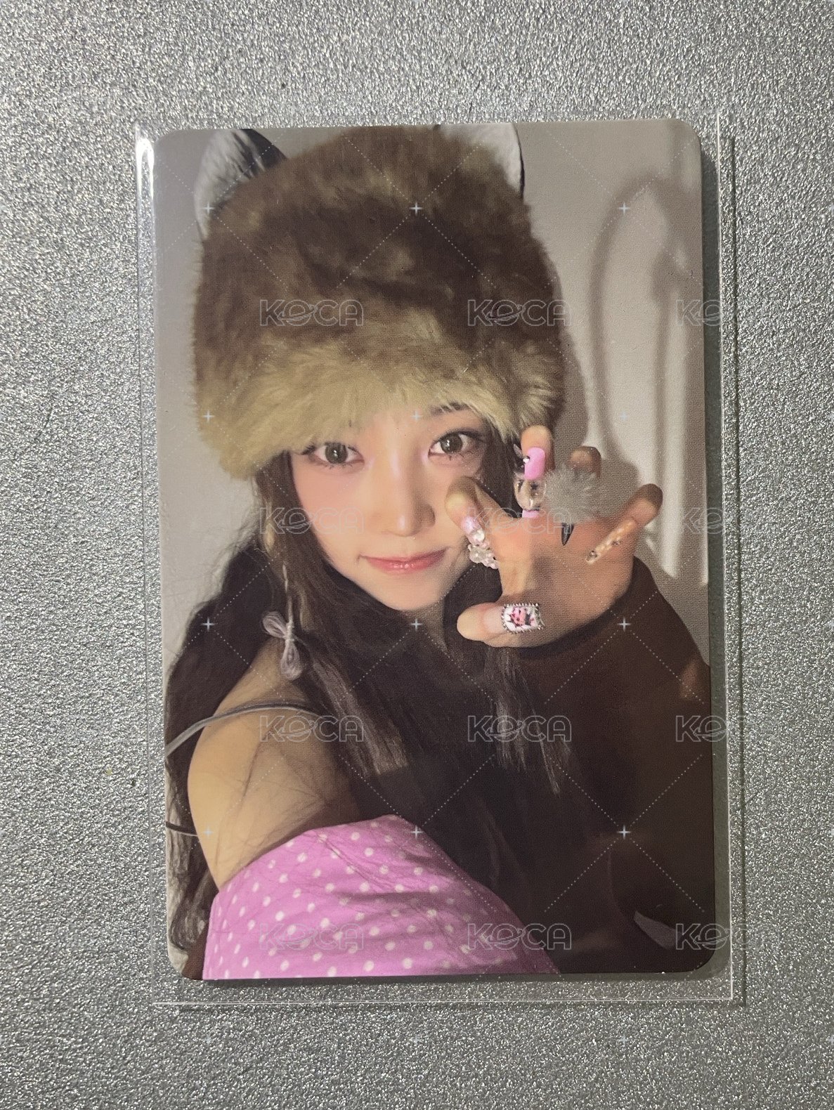 貓抓書