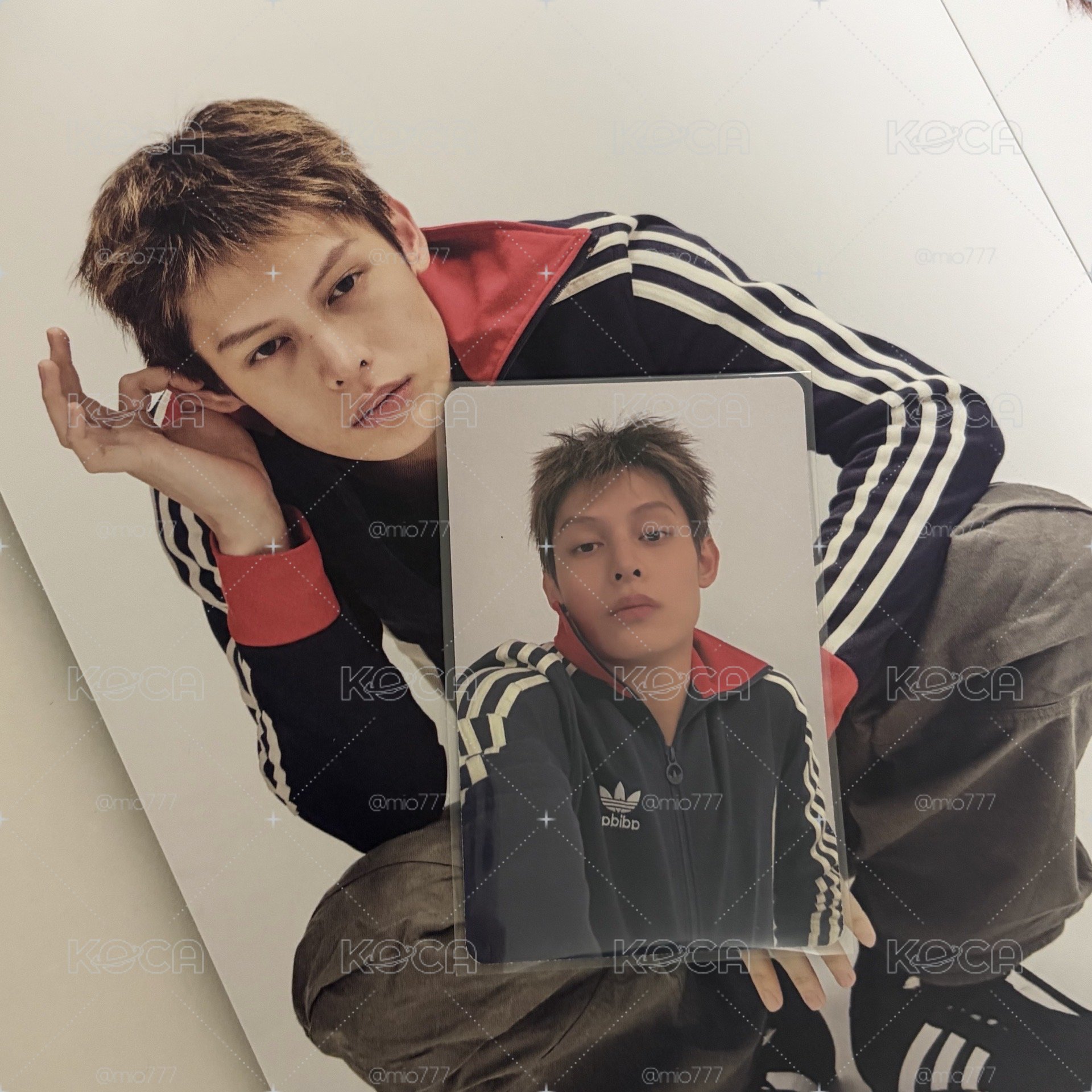 黑白版Adidas趙小咪