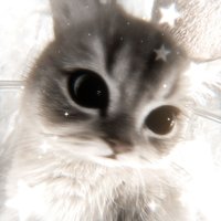 keonholiccc