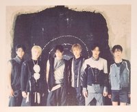 Ode to Love 拍立得 WICHU Anteros版 專輯卡 