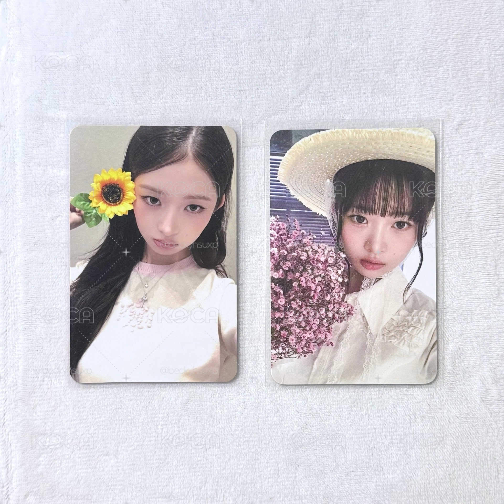 拿花怜🌼🌸