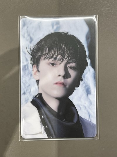 Vernon 正四後續 專輯卡 wvs電子專