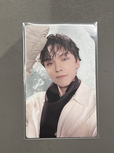 Vernon 正四後續 專輯卡 wvs電子專