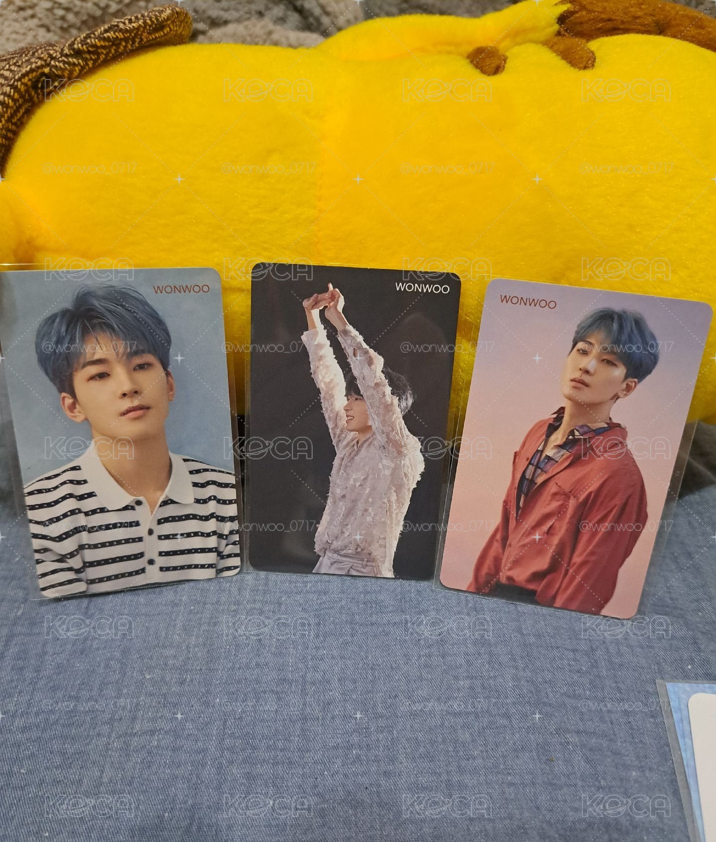SEVENTEEN 落花HMV感謝祭特典 圓佑