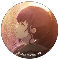 細閃 vol.13 C 徽章 初雪花前