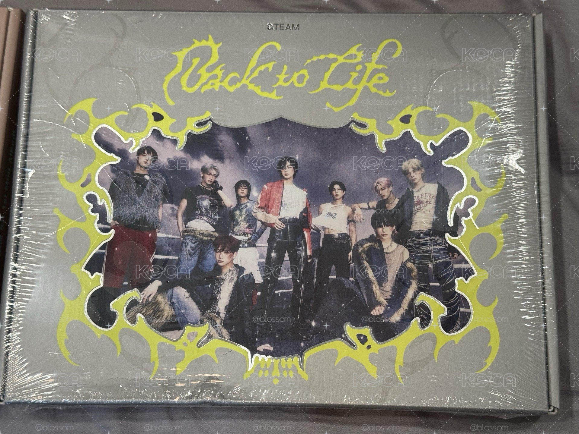 &team Back to life空專 全專 單封