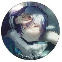 細閃 vol.14 C 徽章 野餐花後