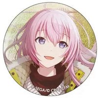 細閃 vol.14 C 徽章 野餐花後