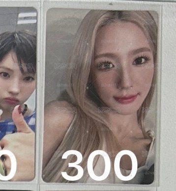 圖中300