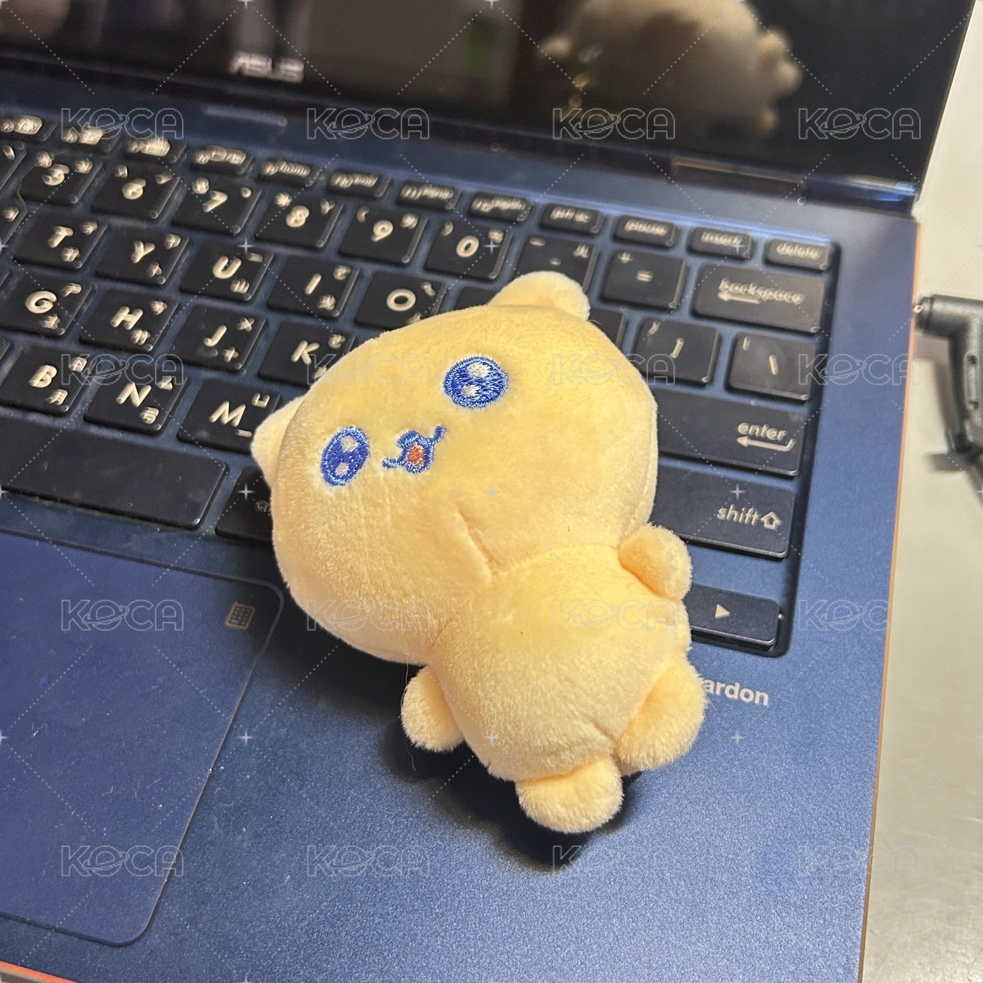 娃｜☆