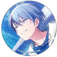 細閃 vol.16 C 徽章 flyer花後