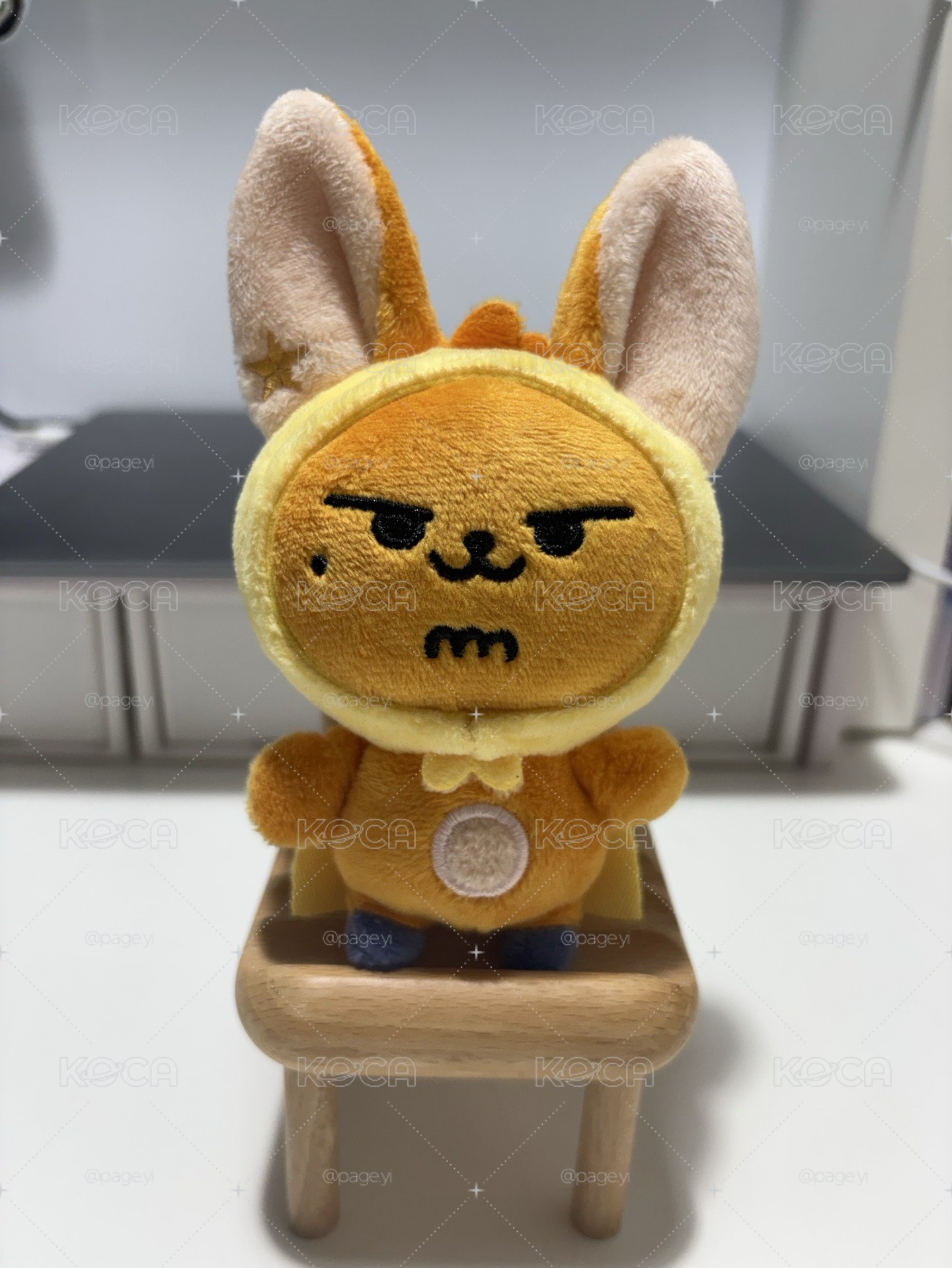 原皮黃春