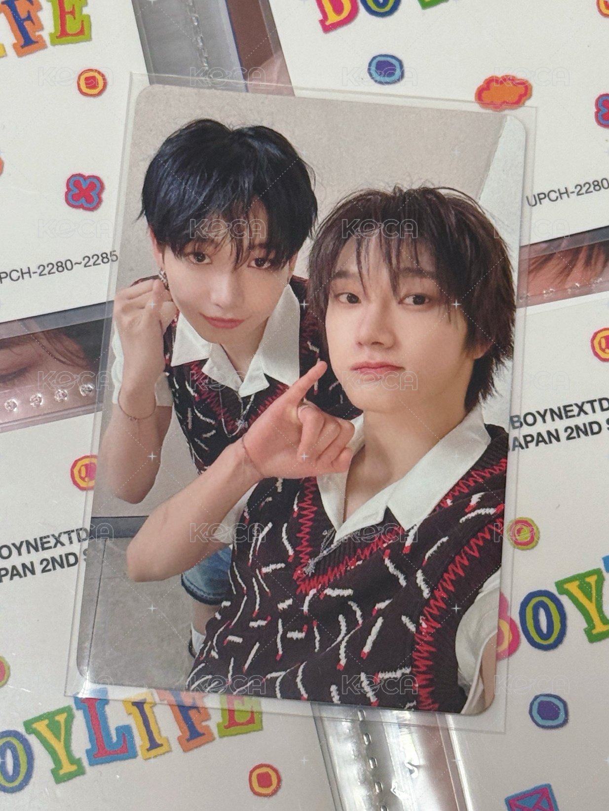 13汪喵z