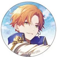 細閃 vol.18 B 徽章 白情花後