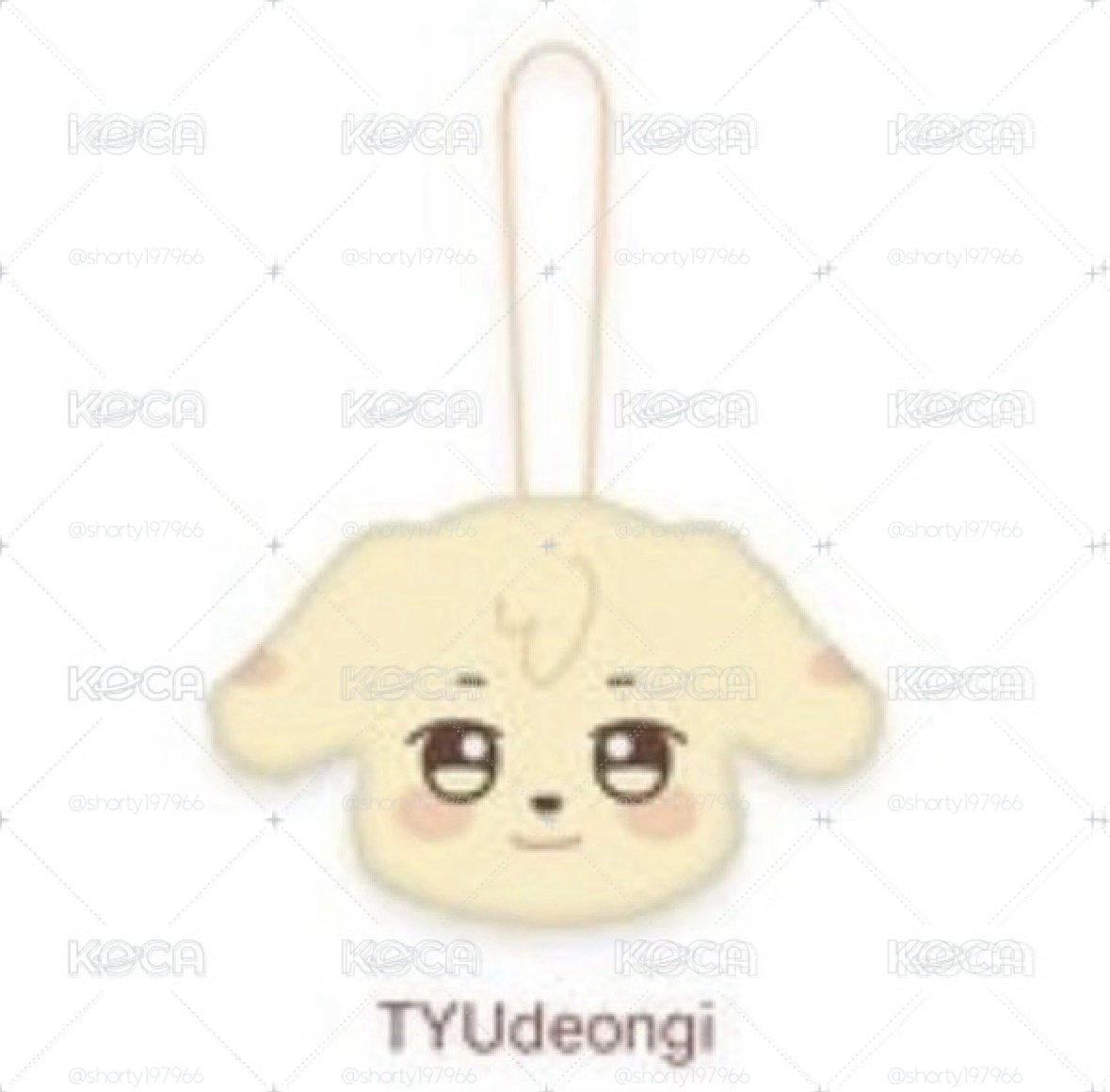 ANITEEZ IN TREASURE 潤浩 行李吊牌 PLUSH NAME TAG