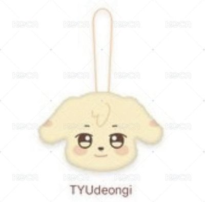 ANITEEZ IN TREASURE 潤浩 行李吊牌 PLUSH NAME TAG