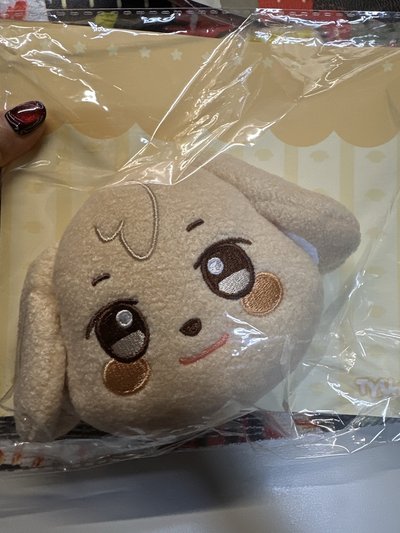 ANITEEZ IN TREASURE 潤浩 行李吊牌 PLUSH NAME TAG