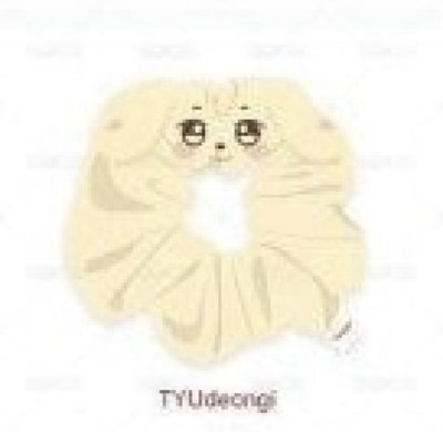 ANITEEZ IN TREASURE 潤浩 髮飾 PLUSH SCRUNCHIE