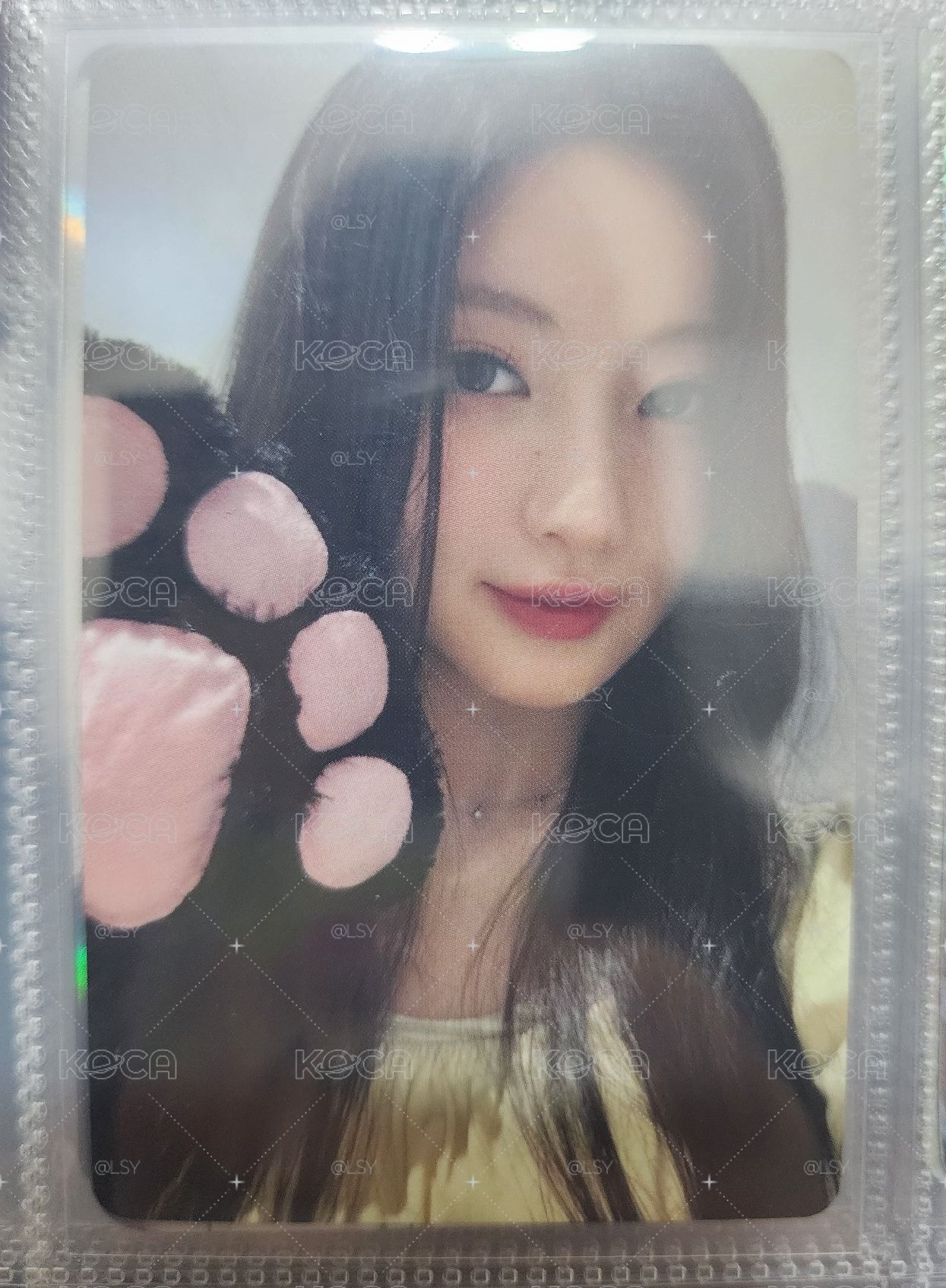 玫瑰日貓爪角
