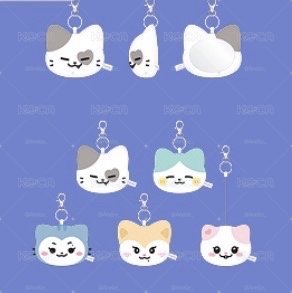  FM TWINZY 志絨毛隨身鏡
