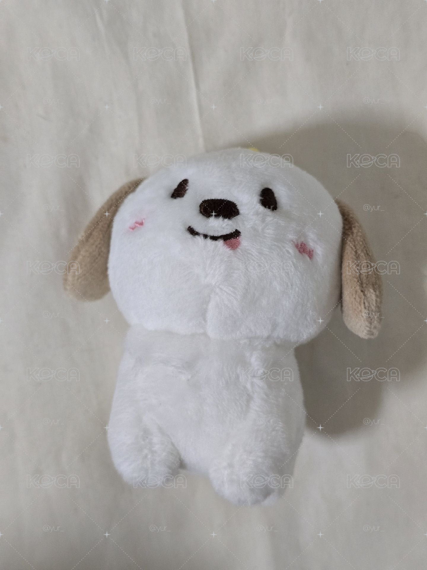 10cm狗龍