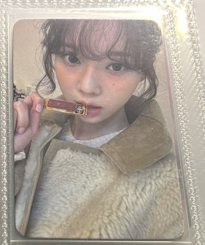 冬