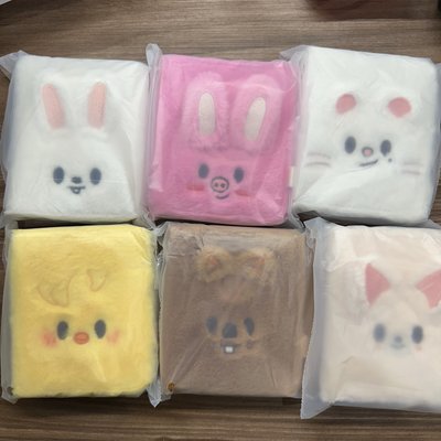 SKZOO 全球快閃店 卡冊 豆豆眼