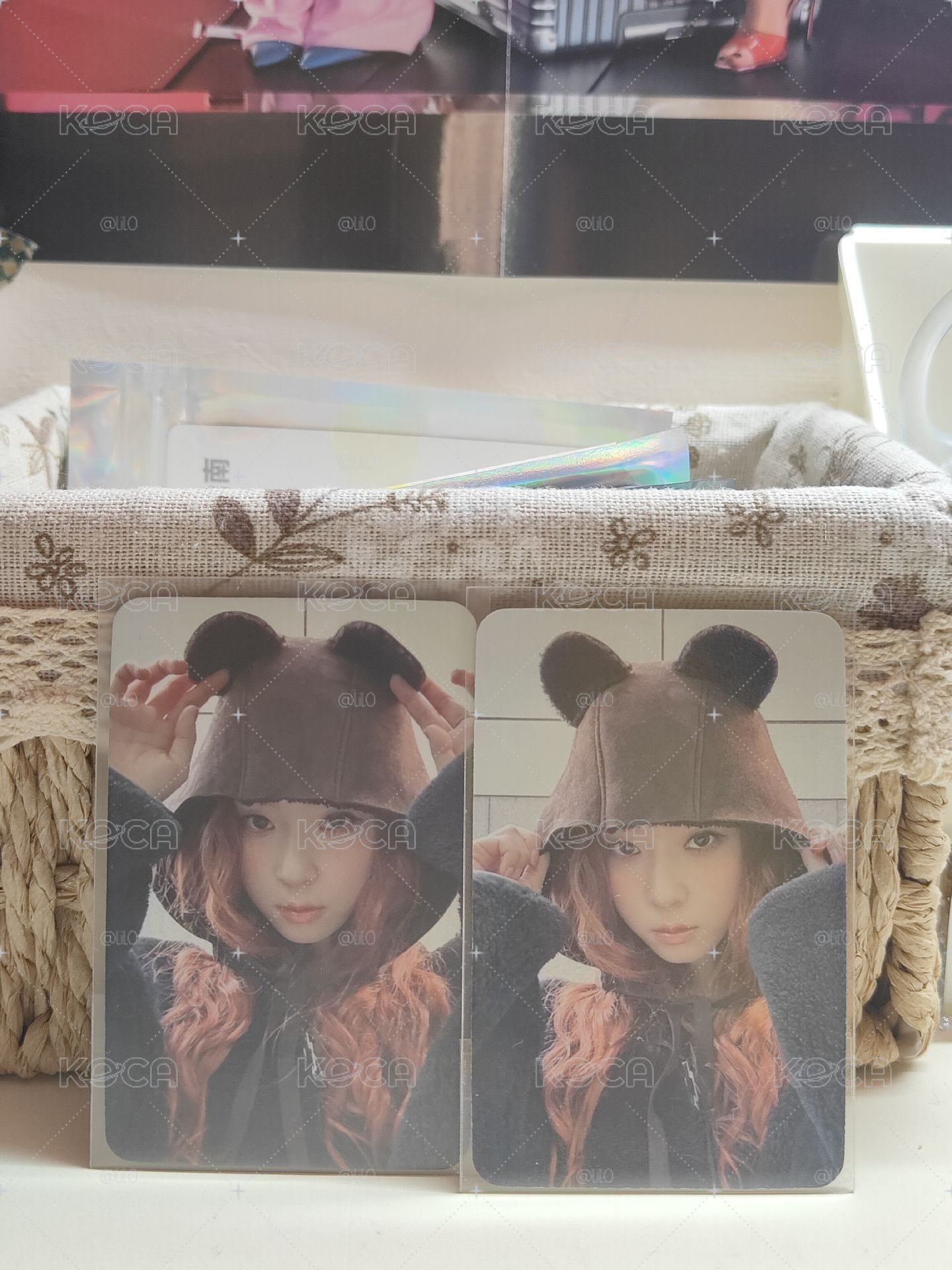 小熊冬兩張