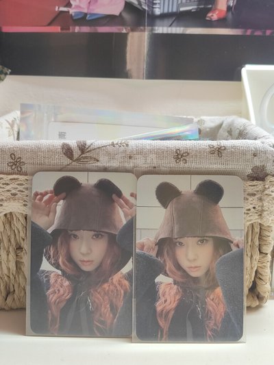 小熊冬兩張