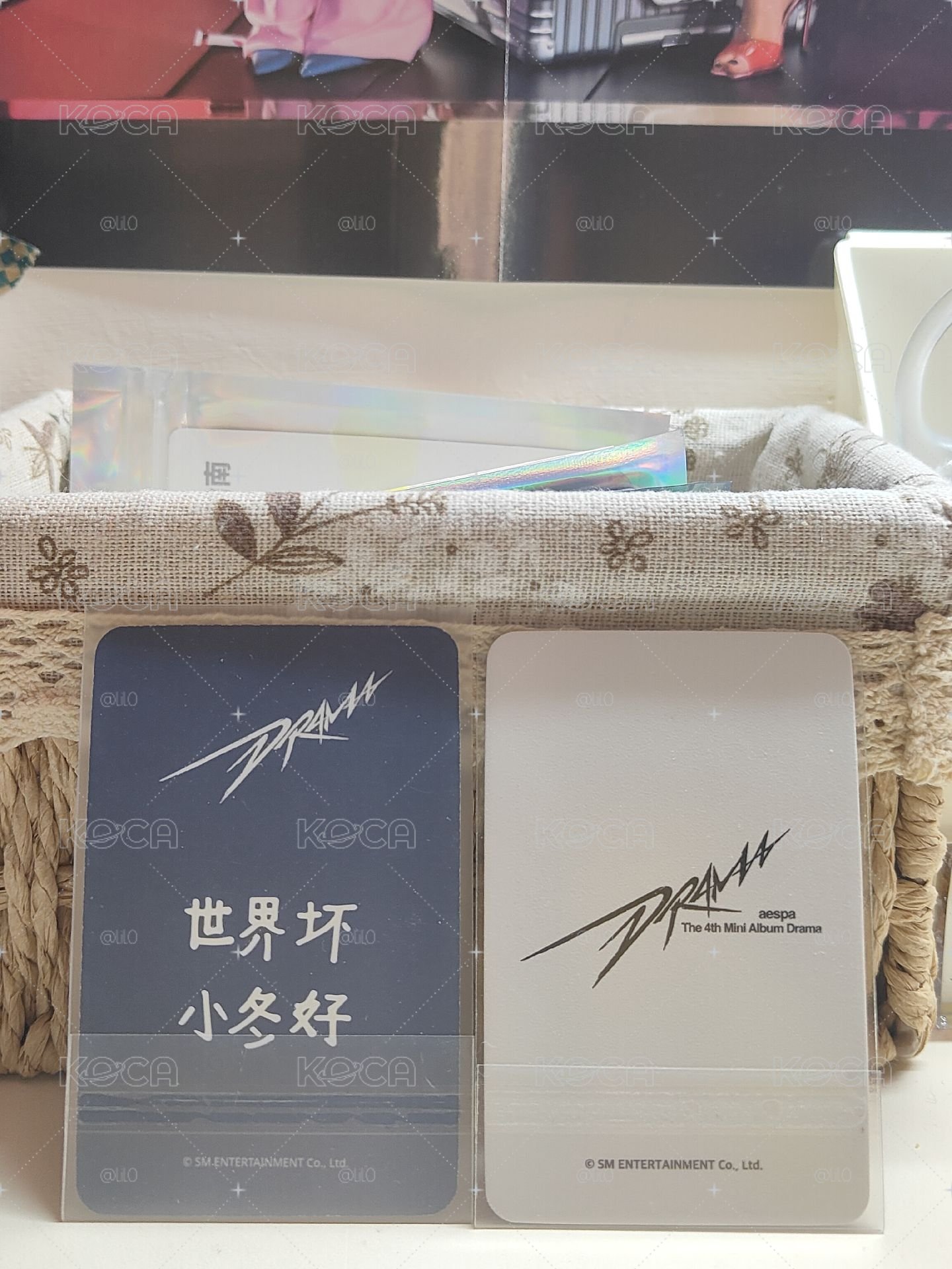 小熊冬兩張