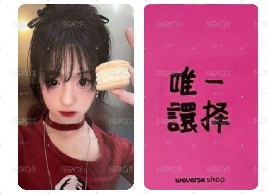 馬卡龍中背賢