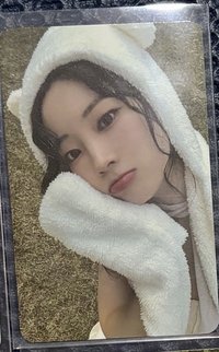 熊帽豆